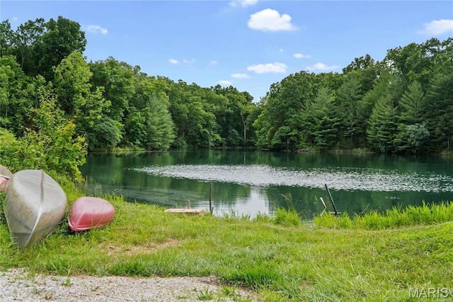 3724 Nadler Rd, Mo, MO 63385 - water view with a forest