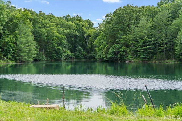 3724 Nadler Rd, Mo, MO 63385 - water view with a forest