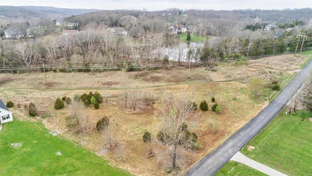 39 Heather Wood Ln, Festus, MO 63028