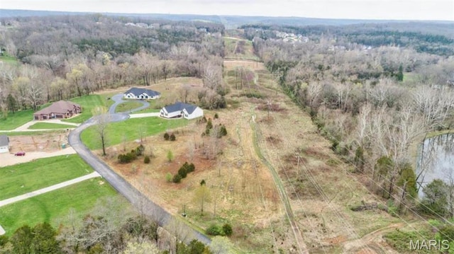39 Heather Wood Ln, Festus, MO 63028 - photo 2