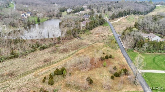 39 Heather Wood Ln, Festus, MO 63028 - photo 3
