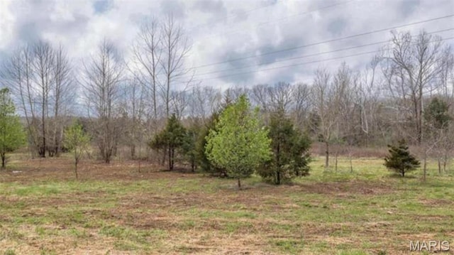 39 Heather Wood Ln, Festus, MO 63028 - photo 5