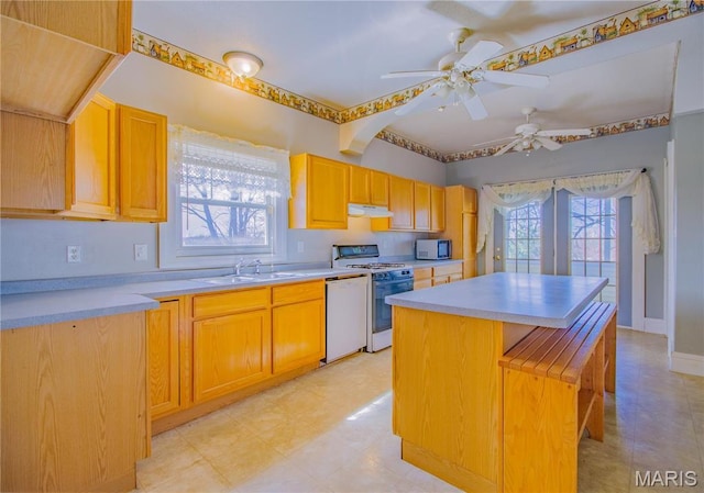 708 E Fillmore St E, Fillmore, IL 62032 - kitchen featuring white appliances, a sink, plenty of natural light, and ceiling fan