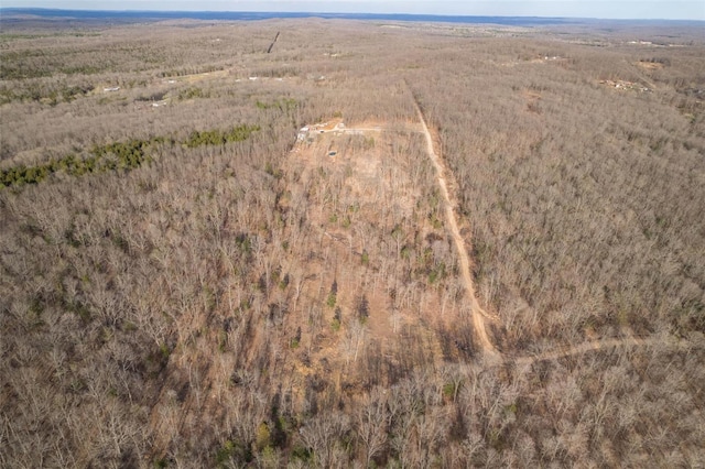 11165 Villmer Rd, Cadet, MO 63630 - aerial overview of property's location