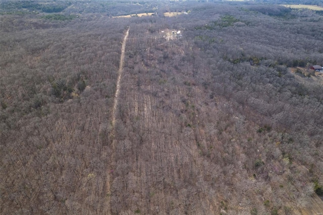 11165 Villmer Rd, Cadet, MO 63630 - view of property location featuring a forest