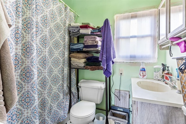 11165 Villmer Rd, Cadet, MO 63630 - bathroom with toilet, vanity, and a shower with curtain