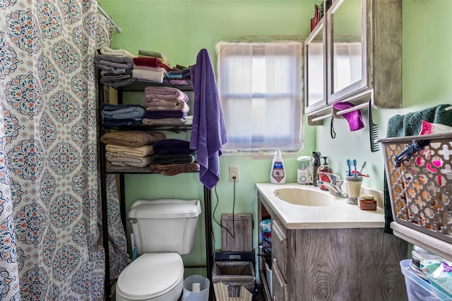 11165 Villmer Rd, Cadet, MO 63630 - bathroom featuring vanity, toilet, and a shower with shower curtain