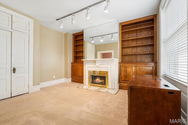 3425 Halliday Ave, Saint Louis, MO 63118 - photo 26
