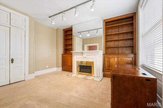 3425 Halliday Ave, Saint Louis, MO 63118 - photo 27