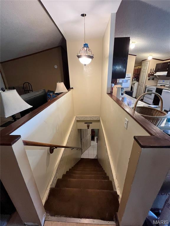 staircase featuring wood finished floors and a textured ceiling