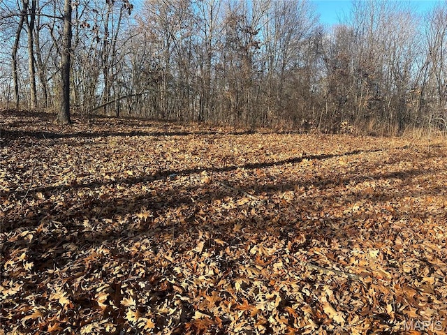 34 Wagon Creek Loop, Creal Springs, IL 62922
