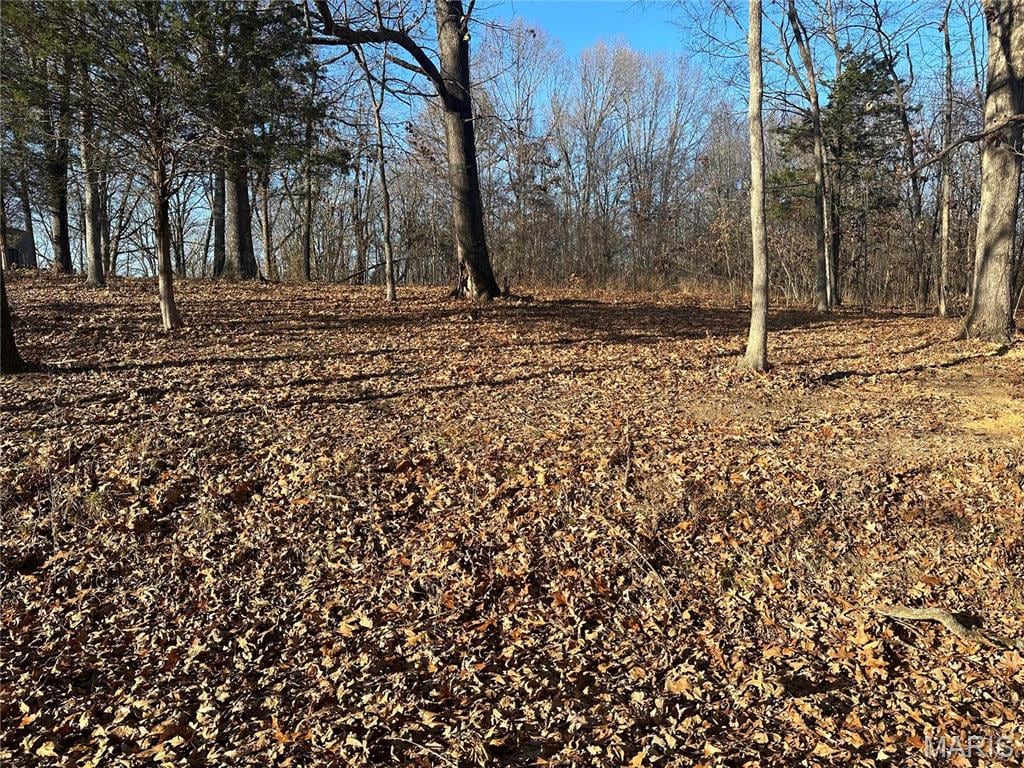 34 Wagon Creek Loop, Creal Springs, IL 62922