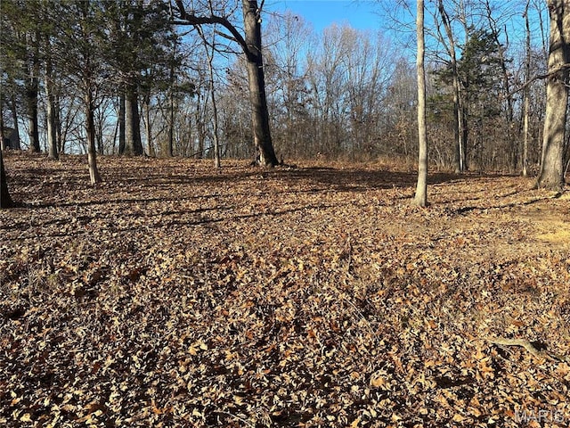 34 Wagon Creek Loop, Creal Springs, IL 62922