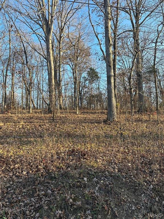 28 Wagon Creek Loop, Creal Springs, IL 62922