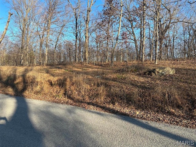 26 Wagon Creek Loop, Creal Springs, IL 62922
