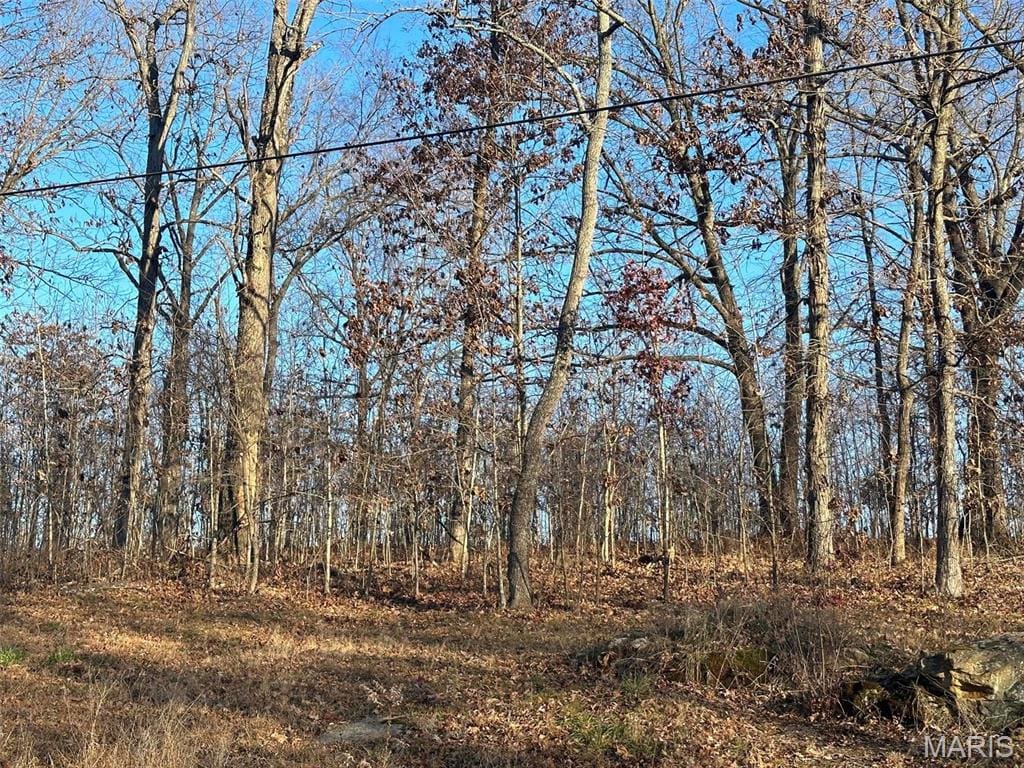 26 Wagon Creek Loop, Creal Springs, IL 62922