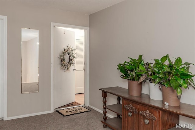 13555 Coliseum Dr Unit G, Chesterfield, MO 63017 - entryway with carpet floors and baseboards