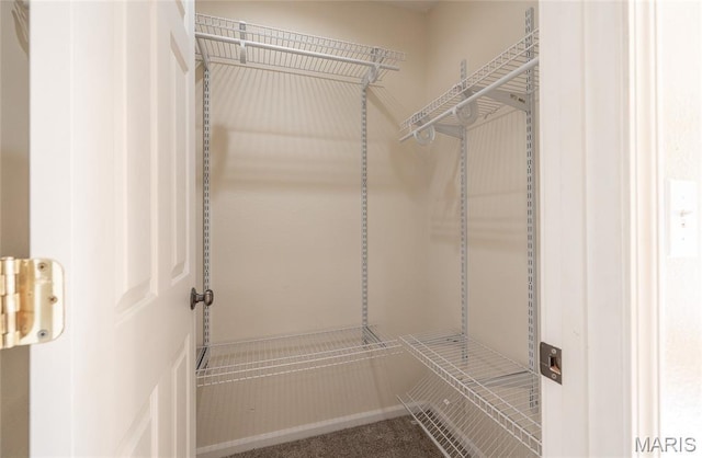 10625 Pine Needle Cir, Rolla, MO 65401 - view of walk in closet
