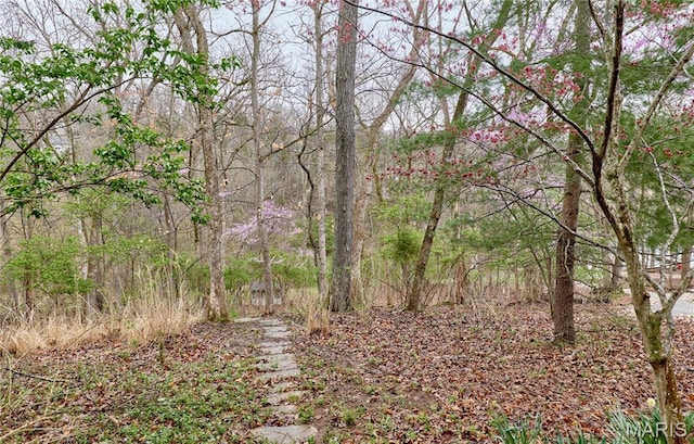 view of tree filled area