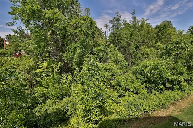 409 Country Club Vw, Edwardsville, IL 62025 - view of wooded area
