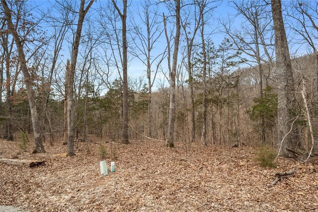 2537 Alpine Woods Dr, Innsbrook, MO 63390