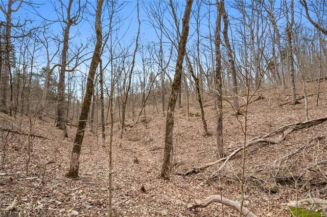2537 Alpine Woods Dr, Innsbrook, MO 63390