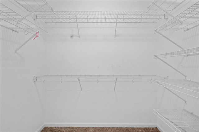 view of walk in closet