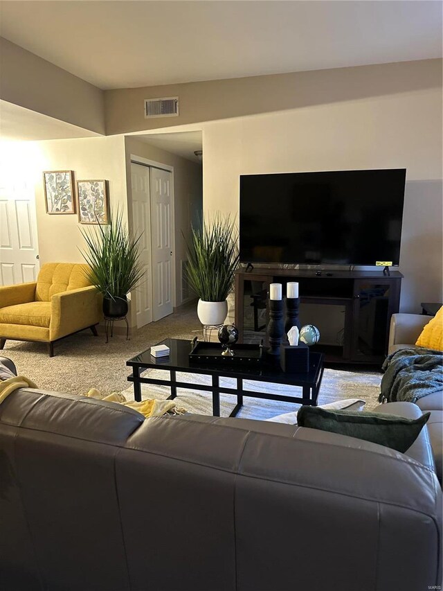 5316 Pershing Ave Unit 507, Saint Louis, MO 63112 - view of carpeted living area