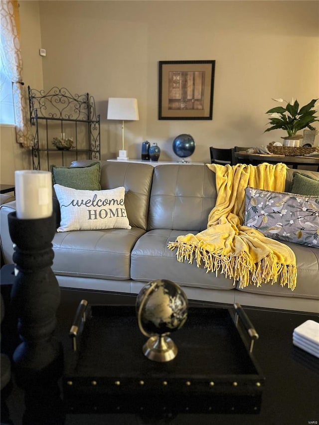 5316 Pershing Ave Unit 507, Saint Louis, MO 63112 - view of living room
