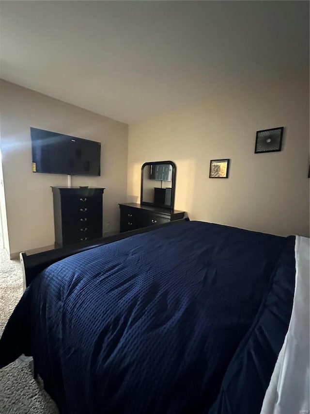 5316 Pershing Ave Unit 507, Saint Louis, MO 63112 - view of carpeted bedroom