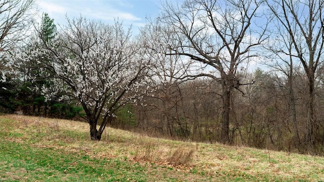 view of wooded area