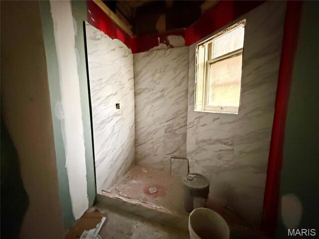 3949 Palm St, Saint Louis, MO 63107 - bathroom featuring a walk in shower