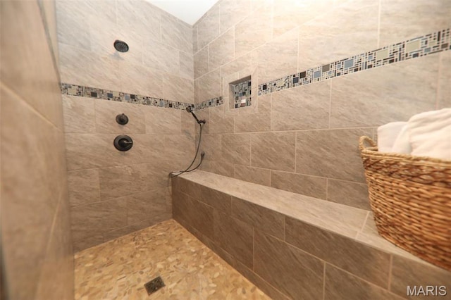 1143 Dave Kay St, Breese, IL 62230 - full bath with a tile shower and pet washing station