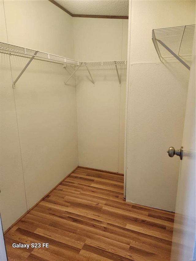 209 Sentry Oaks, Union, MO 63084 - walk in closet with wood finished floors