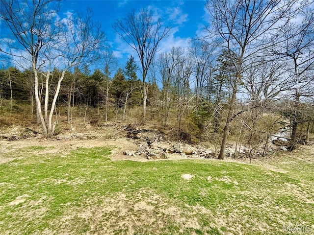 19011 Pinckney Manor Ct, Warrenton, MO 63383 - view of yard