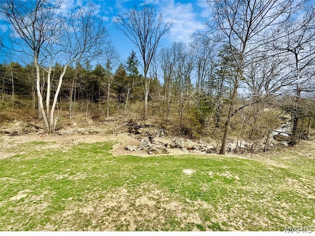 19011 Pinckney Manor Ct, Warrenton, MO 63383 - view of yard