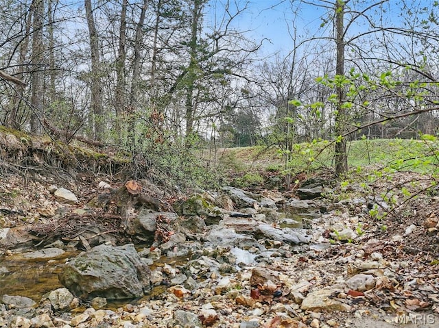19011 Pinckney Manor Ct, Warrenton, MO 63383 - view of nature