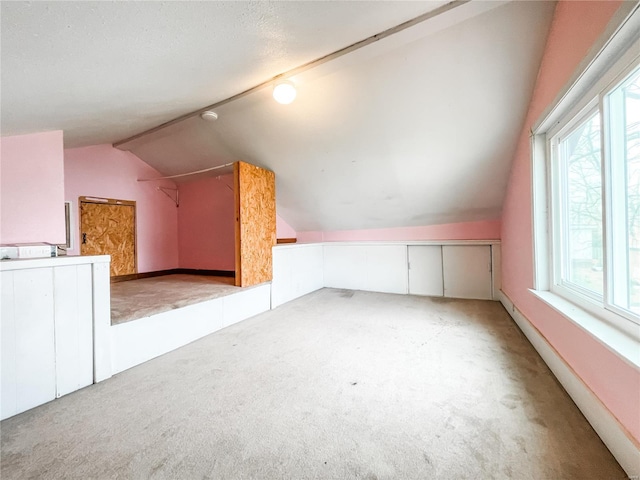 791 E Adams St, Nashville, IL 62263 - bonus room with carpet and lofted ceiling