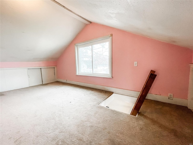 791 E Adams St, Nashville, IL 62263 - bonus room with light colored carpet, vaulted ceiling, and a textured ceiling