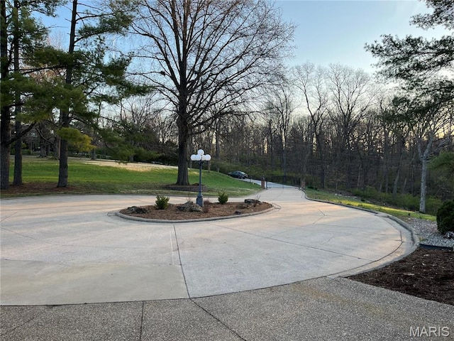 view of community with a yard