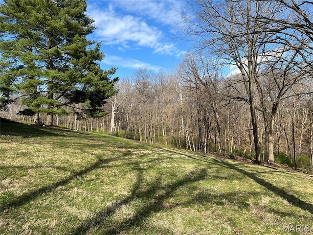 view of grassy yard featuring a view of trees