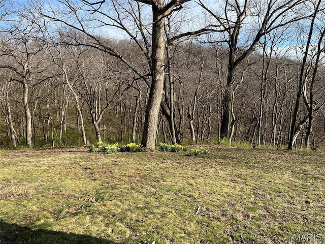 view of wooded area