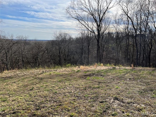 view of woods