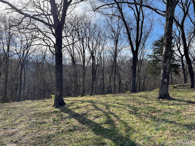 view of yard featuring a forest view
