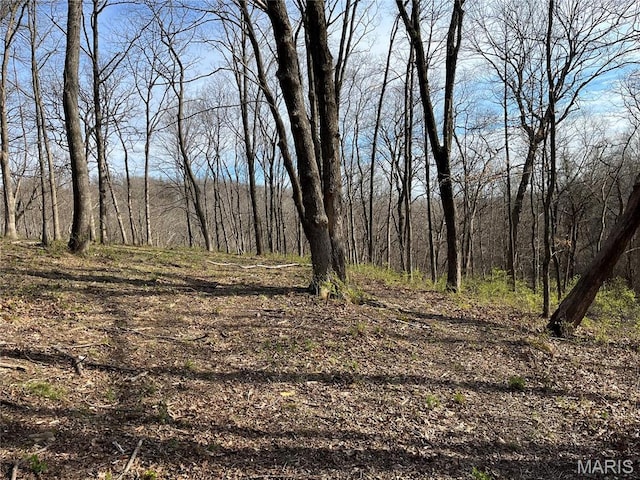 view of wooded area