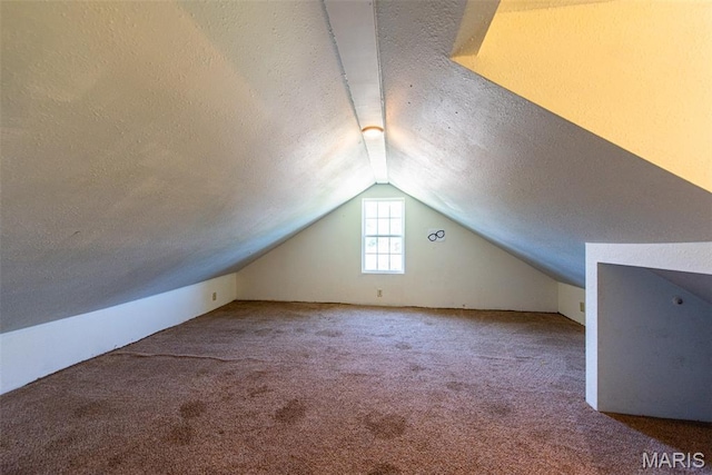 290 E Oak St, Saint Clair, MO 63077 - bonus room with a textured ceiling, carpet, and vaulted ceiling