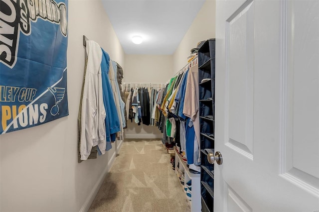 walk in closet with carpet floors