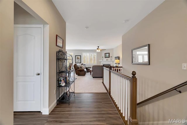243 Cambium Ct, Wentzville, MO 63385 - photo 8