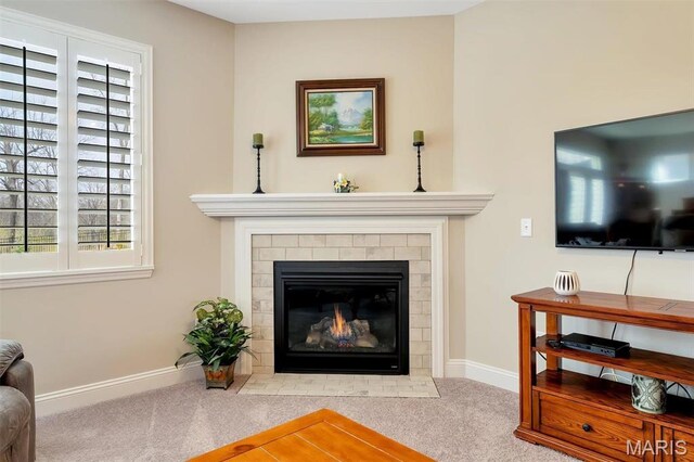 243 Cambium Ct, Wentzville, MO 63385 - photo 10