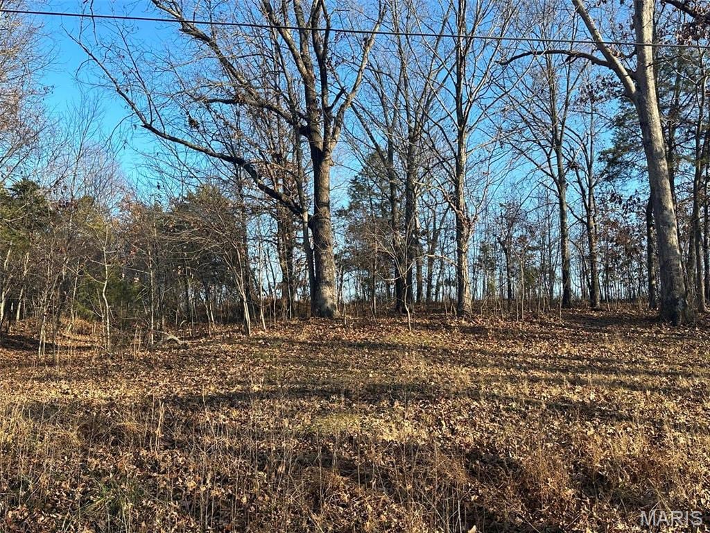 24 Wagon Creek Loop, Creal Springs, IL 62922